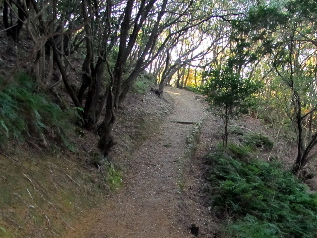 t20_080.jpg