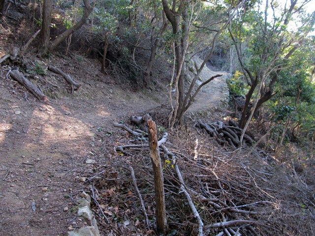 t20_083.jpg