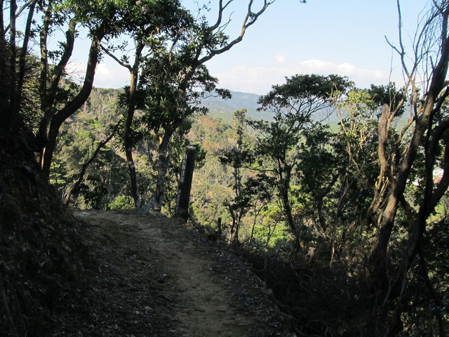 t20_084.jpg