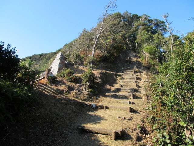 t20_086.jpg