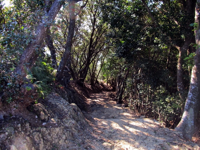 t20_088.jpg