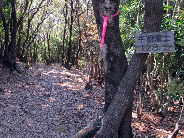 t20_090.jpg