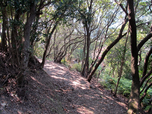 t20_091.jpg