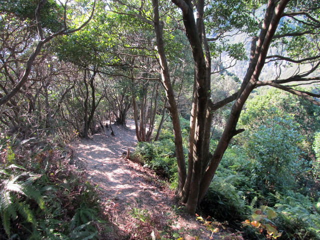 t20_092.jpg