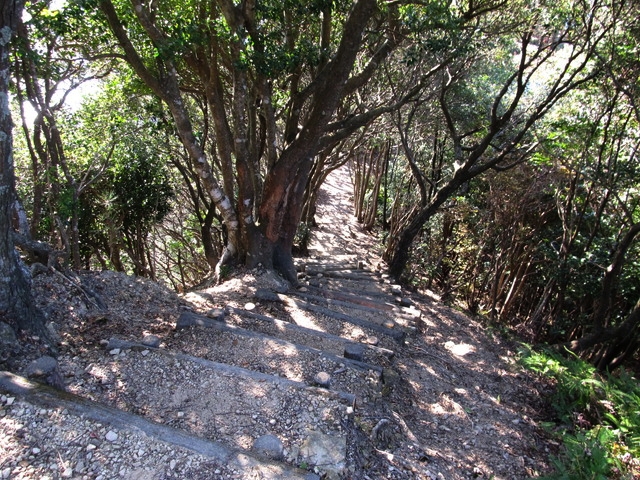 t20_094.jpg