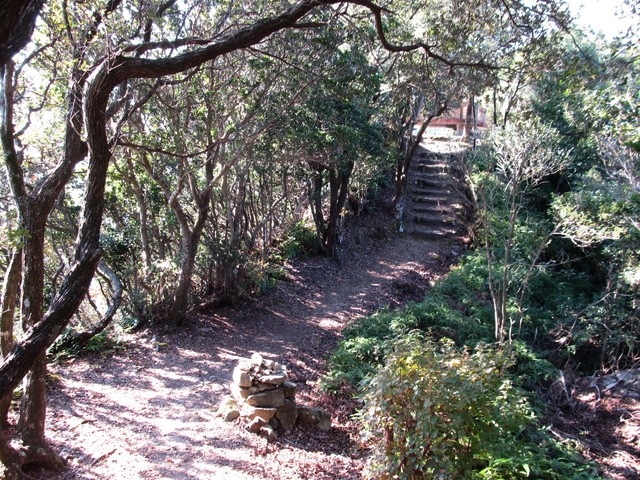 t20_095.jpg