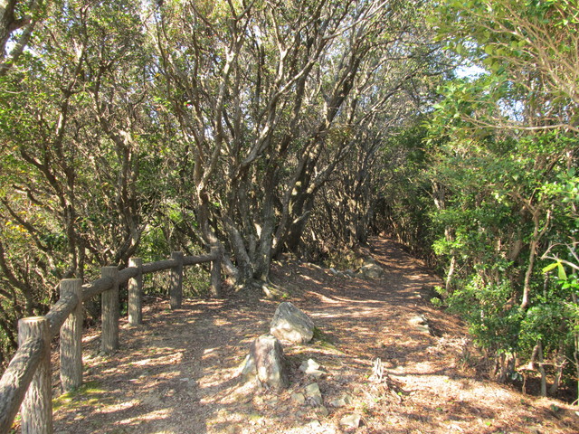 t20_104.jpg