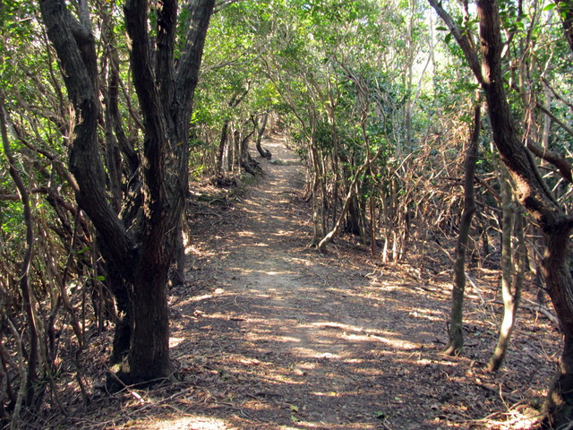 t20_106.jpg