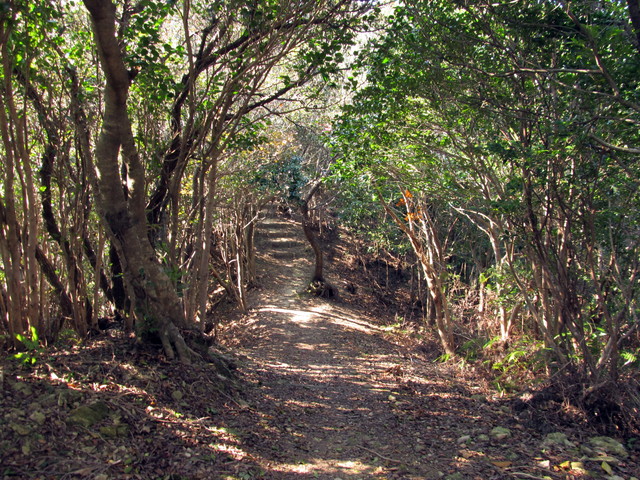 t20_108.jpg
