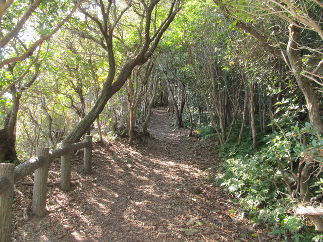 t20_112.jpg