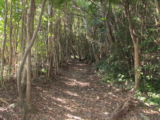 t20_113.jpg