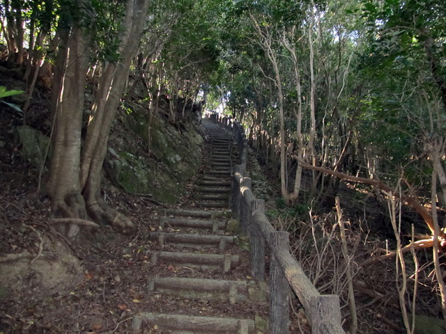 t20_115.jpg