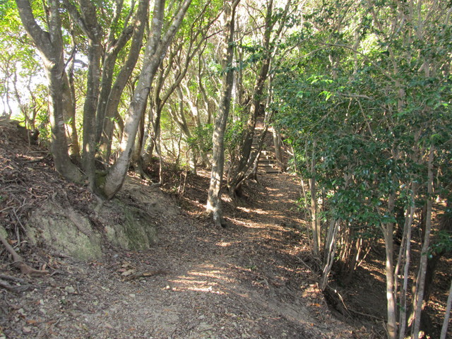 t20_116.jpg