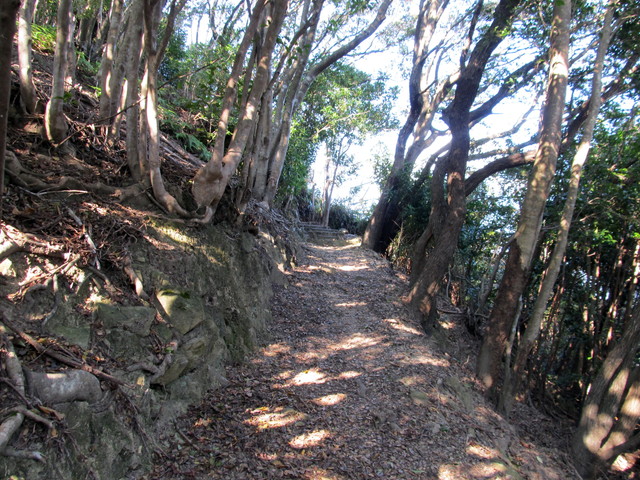 t20_119.jpg
