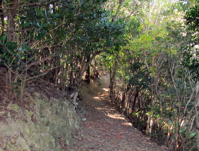 t20_121.jpg