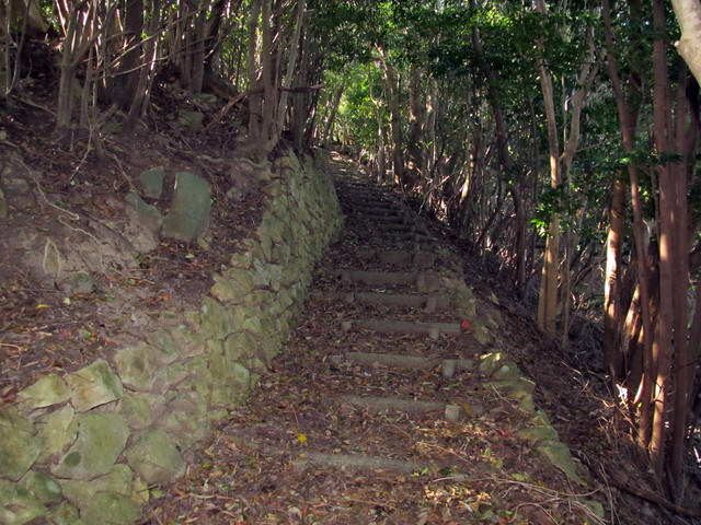 t20_122.jpg
