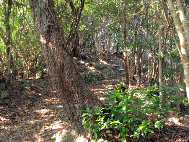 t20_123.jpg