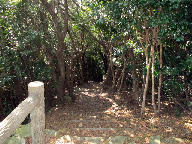 t20_128.jpg