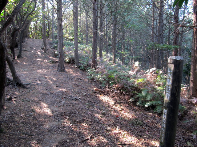 t20_134.jpg