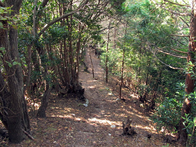 t20_138.jpg