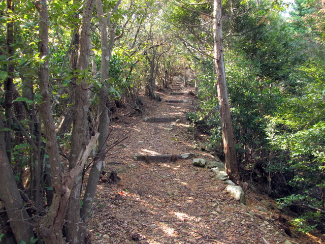 t20_140.jpg