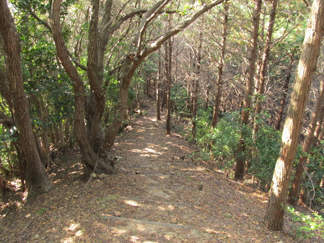 t20_144.jpg