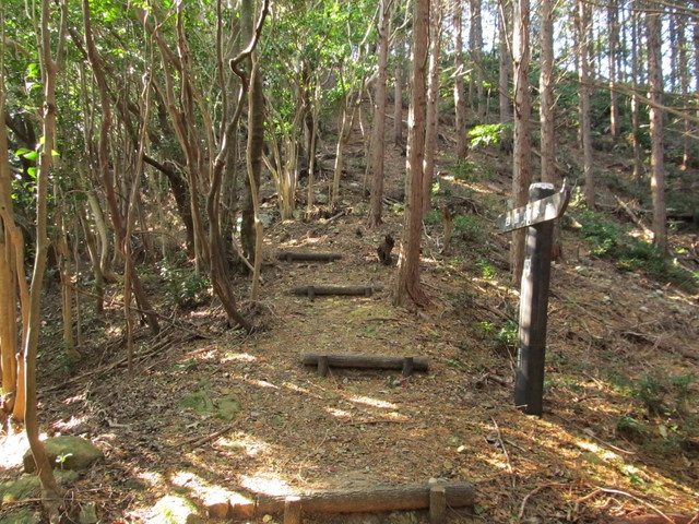 t20_145.jpg
