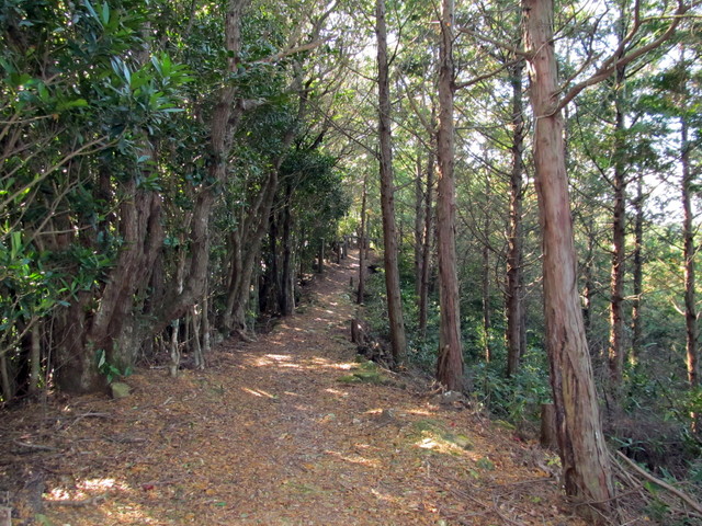 t20_149.jpg