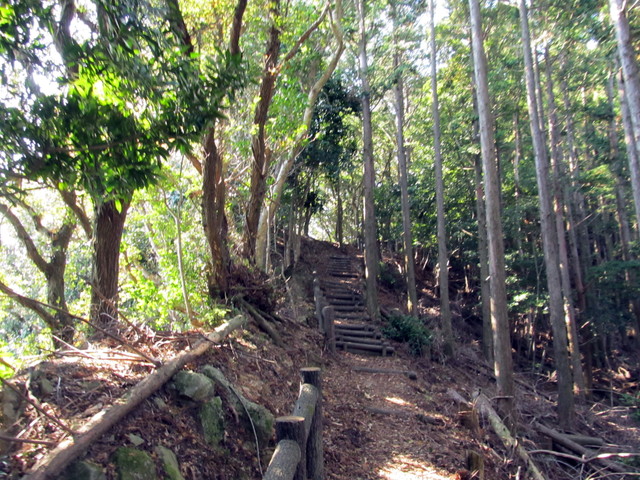t20_157.jpg