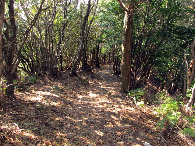 t20_176.jpg