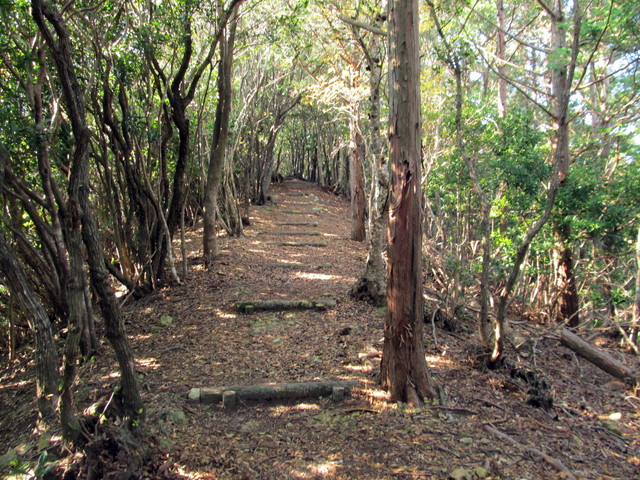 t20_180.jpg