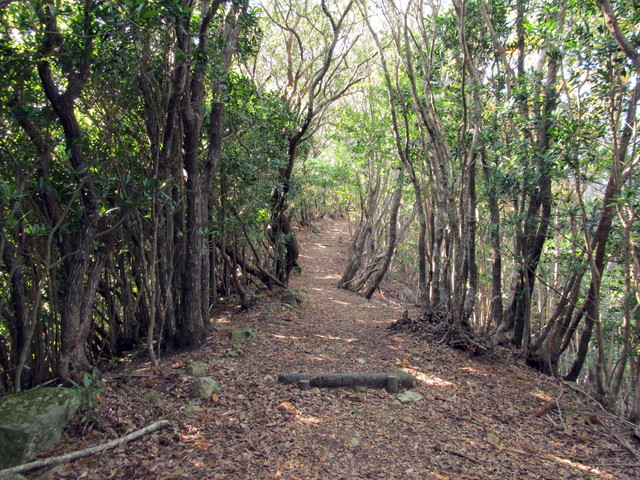 t20_181.jpg