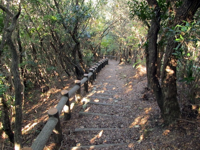 t20_184.jpg