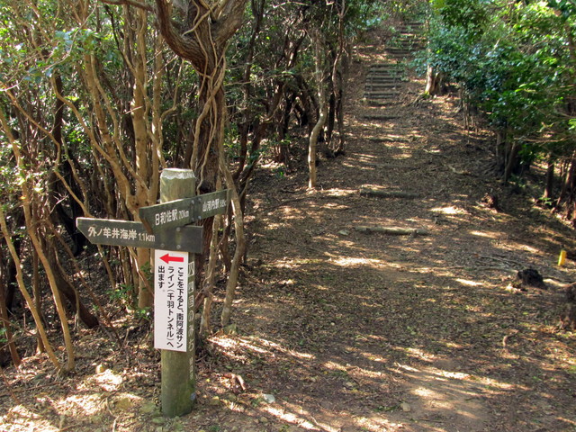 t20_188.jpg