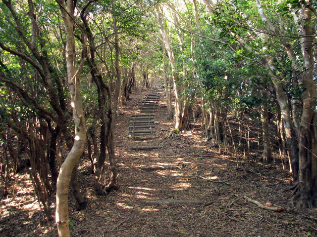 t20_189.jpg
