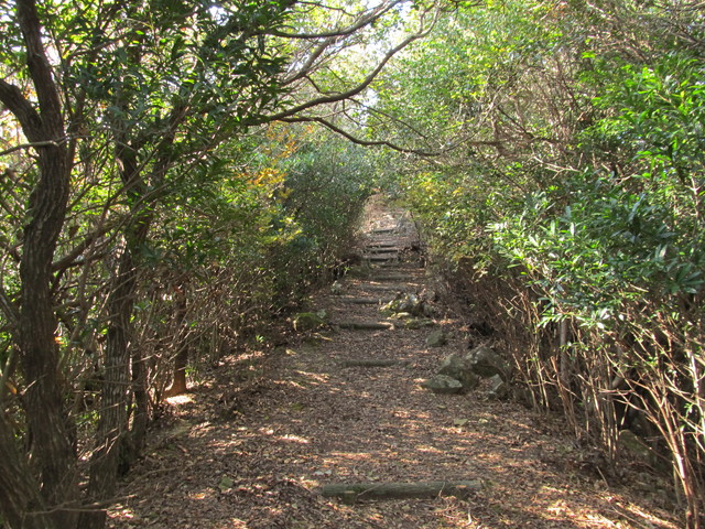 t20_190.jpg