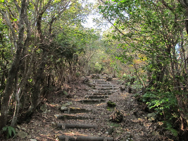 t20_196.jpg