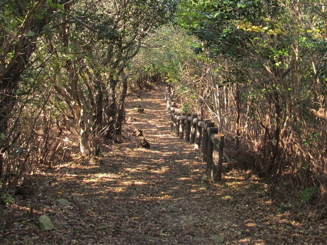 t20_199.jpg
