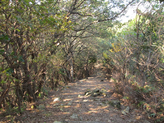 t20_202.jpg