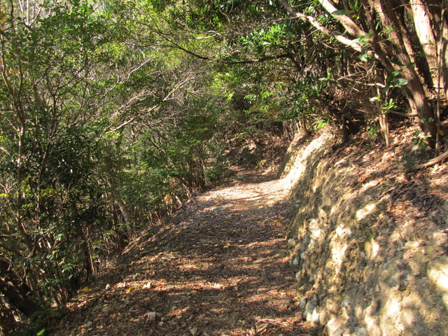 t20_204.jpg