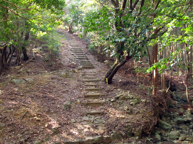 t20_207.jpg