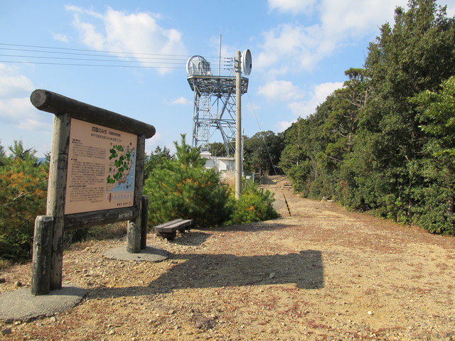 t20_213.jpg