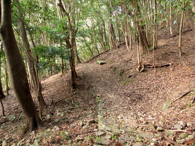 t20_223.jpg