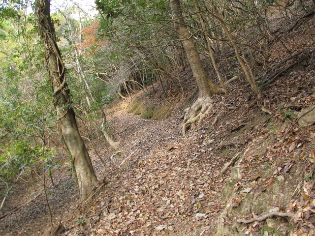 t20_226.jpg