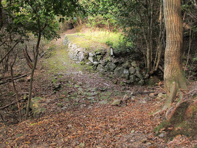 t20_227.jpg
