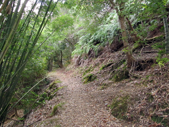 t20_231.jpg