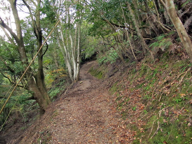 t20_232.jpg