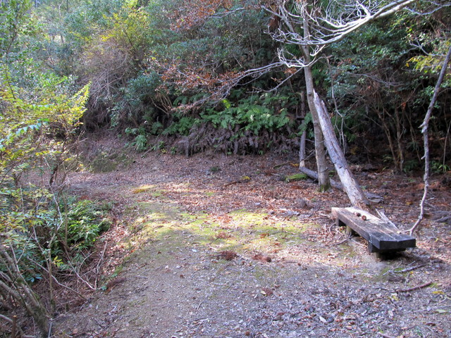 t20_235.jpg