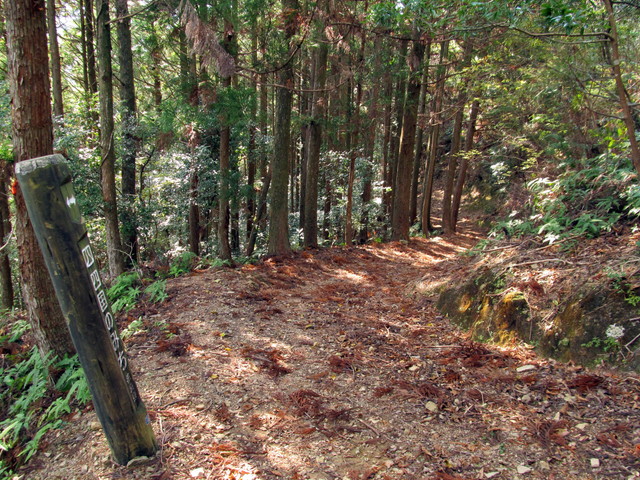 t20_241.jpg