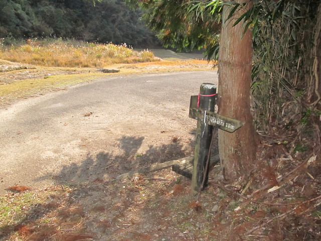 t20_251.jpg